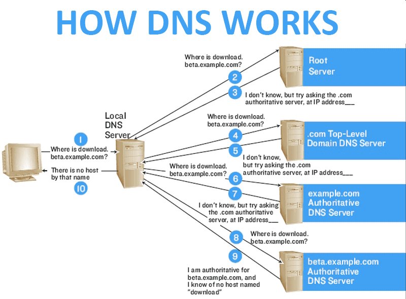 What Does The Domain Name System (dns) Connect?
