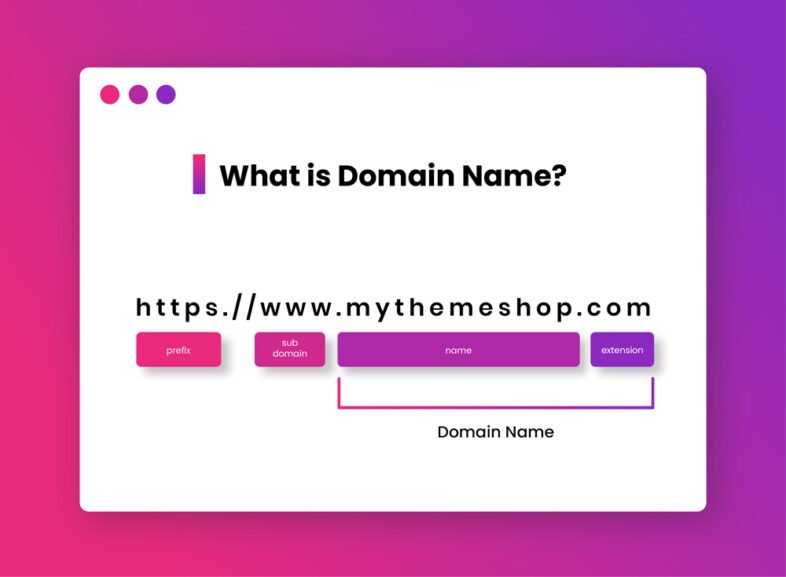 who-is-domain-name